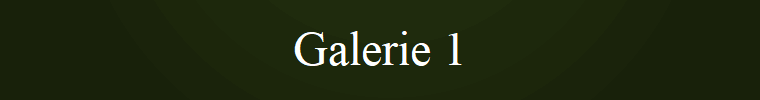 Galerie 1