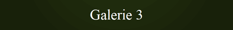 Galerie 3