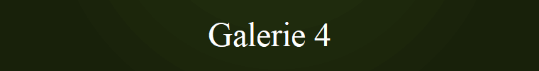 Galerie 4