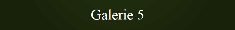 Galerie 5